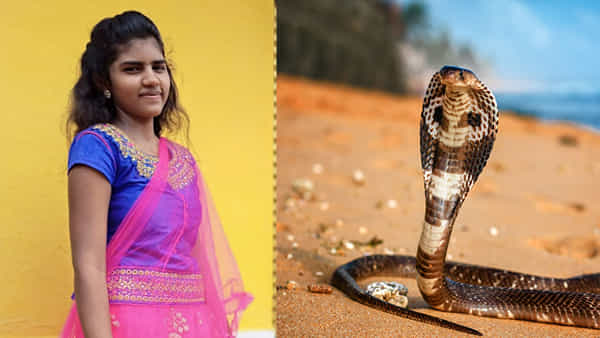 Telangana: యువతిని వెంటాడిన పాము.. ఏడు నెలల్లో మూడు సార్లు కాటు.. అసలేమైందంటే..?