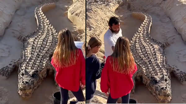 Viral Video: ఇసుకలో సేద తీరుతున్న మొసలి.. దగ్గరకెళ్లి చూడగా ఫ్యూజులు ఔట్.!