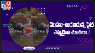 Viral Video: ఈమె 22 ఏళ్లుగా చికెన్ మాత్ర‌మే తింటుంది.. ఎందుకో తెలుసా..! తెలిస్తే షాక్ అవుతారు..(వీడియో)