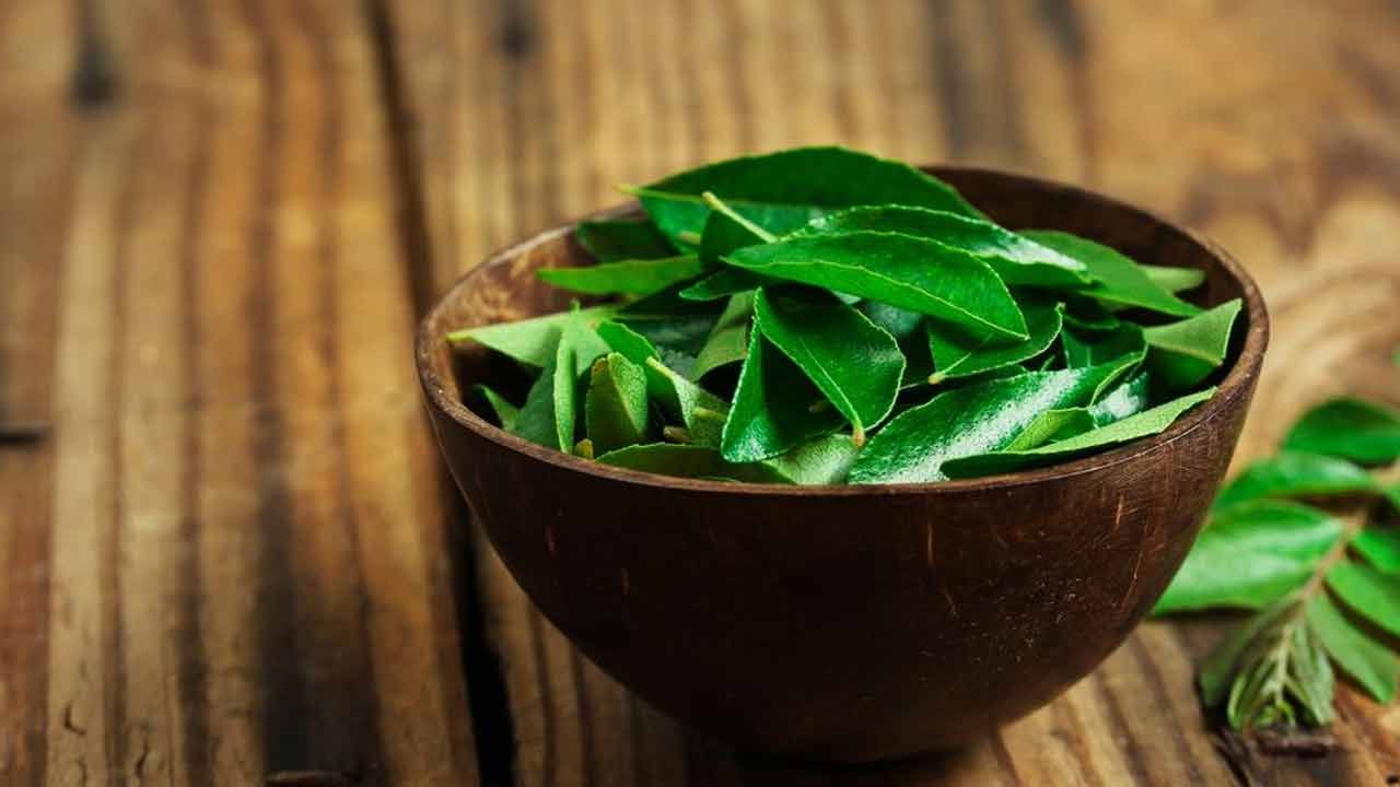 Curry Leaf Benefits: షుగర్, అధిక కొవ్వు సమస్యతో సతమతం అవుతున్నారా?.. కరివేపాకుతో చెక్ పెట్టండిలా!