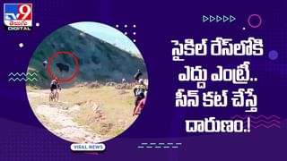 Viral Video: కుక్క నోరు మూయించిన కప్ప !! వీడియో వైరల్‌