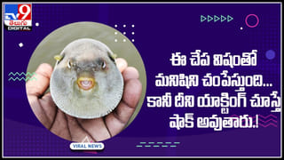 Viral Video: మ్యాగితో ఇలా కూడా చేయొచ్చా..? వింత వంటకం చూసి బిత్తరపోతున్న నెటిజనం.. వీడియో
