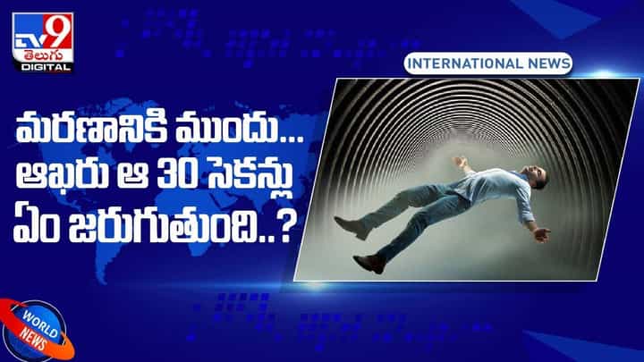 మరణానికి ముందు.. ఆఖరు ఆ 30 సెకన్లు ఏం జరుగుతుంది ?? వీడియో మరణానికి ముందు.. ఆఖరు ఆ 30 సెకన్లు ఏం జరుగుతుంది ?? వీడియో