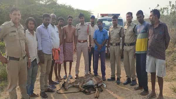 Deer Rescued From Canal: దారి తప్పి కాలువలో పడిన జింక... ప్రాణాలు కాపాడిన స్థానికులు