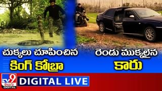 Viral Video: ఉడుతను సేవ్ చేయడానికి ప్రాణాలకు తెగించిన శునకం..