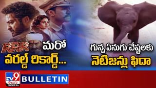 Viral Video: మొసలితో అడవి దున్న హోరాహోరీ పోరు.. నెట్టింట్లో వైరలవుతోన్న వీడియో