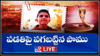 Viral video: రోజుకు మూడు సార్లు ఐలవ్యూ చెప్పాలి.. అగ్రిమెంట్ పెళ్లికి అన్నీ కండీషన్సే