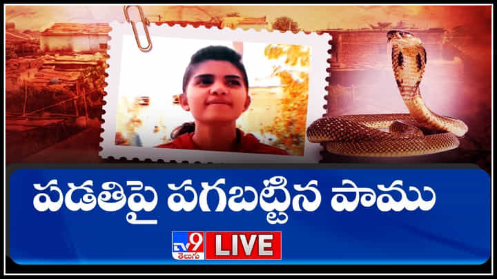 Snakes really take revenge: పడతిపై పగబట్టిన పాము... ఏడు నెలల్లో.. మూడు సార్లు కాటు.. ఎందుకో తెలిస్తే.. (వీడియో) Snakes really take revenge: పడతిపై పగబట్టిన పాము... ఏడు నెలల్లో.. మూడు సార్లు కాటు.. ఎందుకో తెలిస్తే.. (వీడియో)