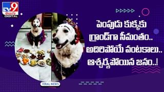 ఆపండ్రోయ్.. జాయింట్‌ వీల్‌లో బుడ్డోడి అరుపులు, బ్రహ్మీని గుర్తుచేశాడంటున్న నెటిజన్స్‌