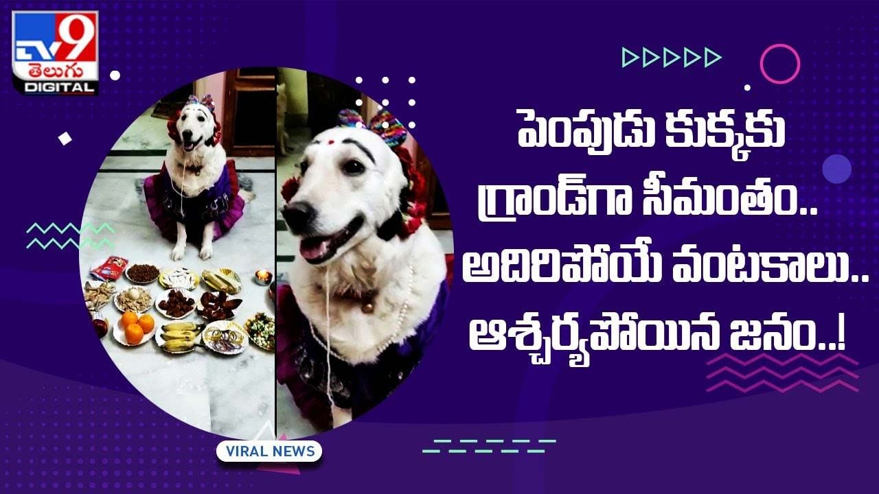 పెంపుడు కుక్కకు గ్రాండ్‌గా సీమంతం !! అదిరిపోయే వంటకాలు.. ఆశ్చర్యపోయిన జనం !!