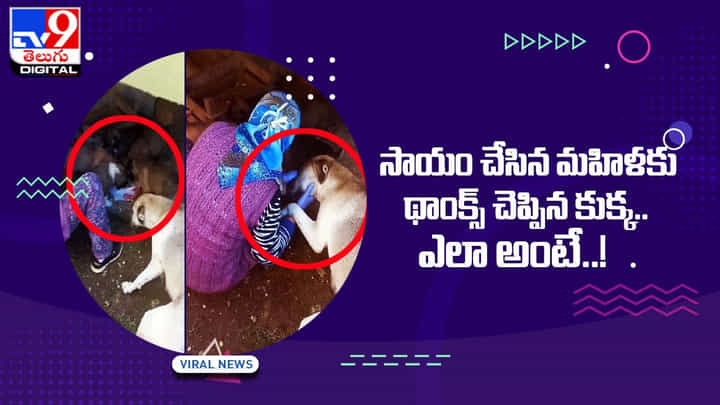 సాయం చేసిన మహిళకు థాంక్స్ చెప్పిన కుక్క !! ఎలా అంటే ?? సాయం చేసిన మహిళకు థాంక్స్ చెప్పిన కుక్క !! ఎలా అంటే ??