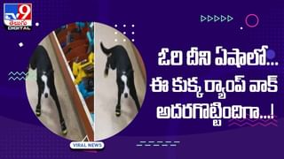 Viral Video: అత్యంత వృద్ధ జంట గ్రాండ్‌గా 90వ పెళ్లిరోజు !!