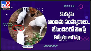 Viral Video: వీళ్లు పిల్లలు కాదు..పిడుగులు కాదు…అంతకు మించి..! వైరల్‌ అవుతున్న సూపర్ వీడియో..