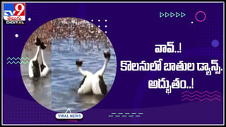 Helicopter stunts: నువ్వు మామూలోడివి కాదురోయ్‌..! హెలికాప్టర్‌తో స్టంట్సా.. సూపర్బ్‌ అంటున్న నెటిజనం..(వీడియో)