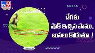 Viral Video: అప్పుడు డబుల్‌ డెక్కర్‌ బస్సు !! ఇప్పుడు రెండు అంతస్తులు ఇల్లు !!