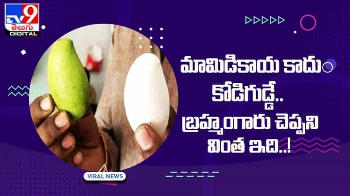 Viral Video: మామిడికాయ కాదు కోడిగుడ్డే.. బ్రహ్మంగారు చెప్పని వింత ఇది !! Viral Video: మామిడికాయ కాదు కోడిగుడ్డే.. బ్రహ్మంగారు చెప్పని వింత ఇది !!