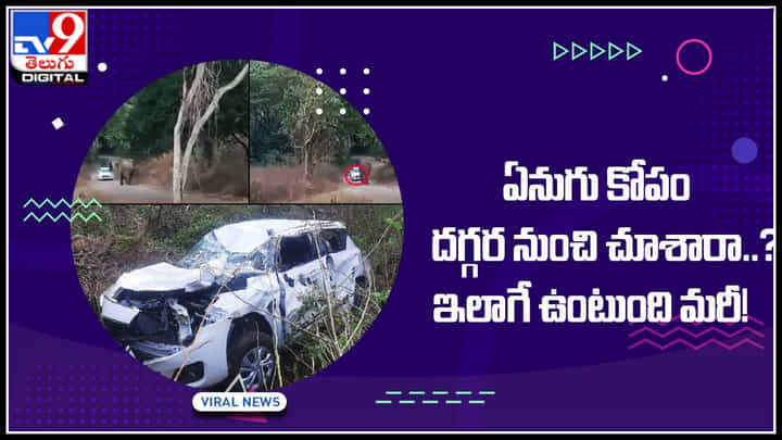 Elephant Viral: అట్లుంటది మరీ ఏనుగుతోని..! గజరాజు కోపం దగ్గర నుంచి చూశారా..? వైరల్ అవుతున్న విజువల్స్.. Elephant Viral: అట్లుంటది మరీ ఏనుగుతోని..! గజరాజు కోపం దగ్గర నుంచి చూశారా..? వైరల్ అవుతున్న విజువల్స్..