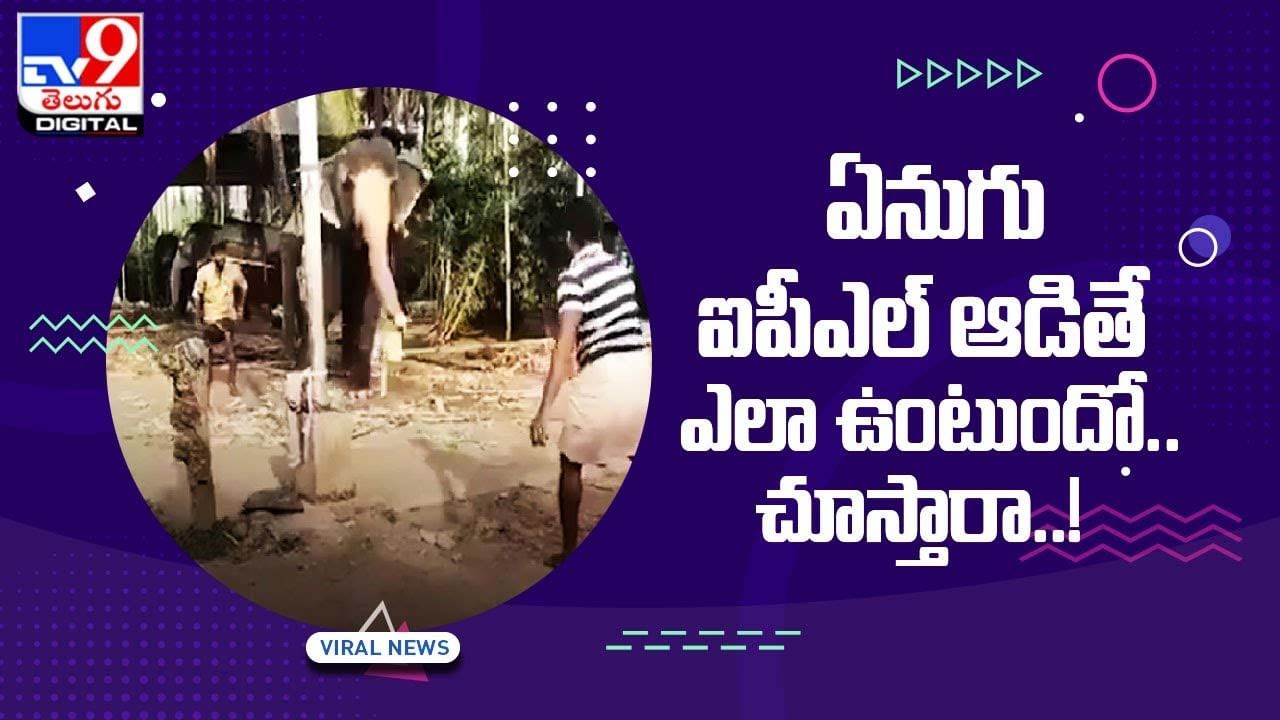 Viral Video: ఏనుగు ఐపీఎల్‌ ఆడితే ఎలా ఉంటుందో.. చూస్తారా..!