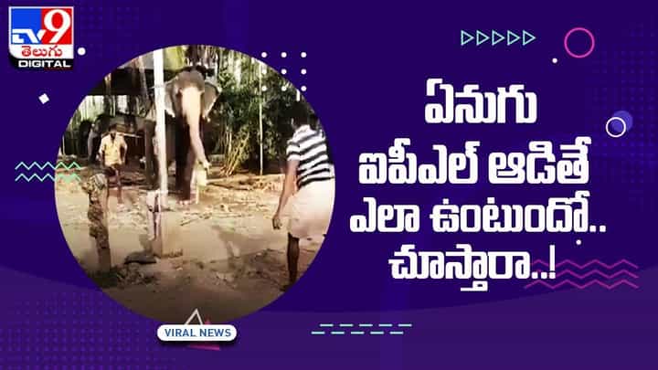 Viral Video: ఏనుగు ఐపీఎల్ ఆడితే ఎలా ఉంటుందో.. చూస్తారా..! Viral Video: ఏనుగు ఐపీఎల్ ఆడితే ఎలా ఉంటుందో.. చూస్తారా..!
