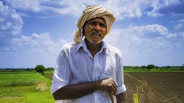 E Shram Card: ఈ శ్రమ్ కార్డుకి అప్లై చేశారా.. వారు ఈ పథకానికి అనర్హులు..!