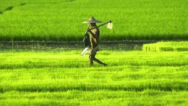 Farmers News: రైతులకు గుడ్న్యూస్.. త్వరలో వారికోసం చౌకగా ఈ సేవలు..!