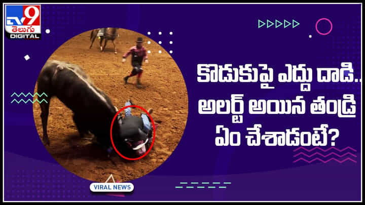Viral Video: కొడుకుపై ఎద్దు దాడి.. అలర్ట్ అయిన తండ్రి ఏం చేశాడంటే..? వీడియో చుస్తే ఫ్యూజులు అవుట్ అవ్వాల్సిందే.. Viral Video: కొడుకుపై ఎద్దు దాడి.. అలర్ట్ అయిన తండ్రి ఏం చేశాడంటే..? వీడియో చుస్తే ఫ్యూజులు అవుట్ అవ్వాల్సిందే..