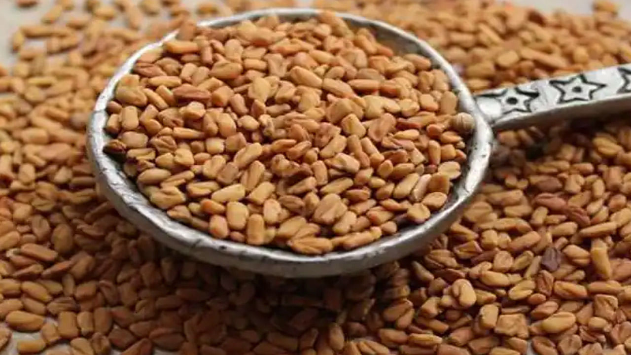 Fenugreek Seeds: మెంతులలో అద్భుత ఔషధగుణాలు.. ఈ వ్యాధులని నయం చేయడంలో సూపర్..!