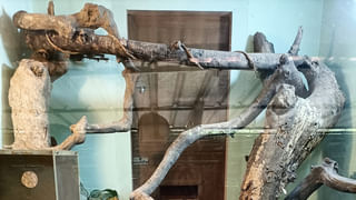 Viral Video: ప్రాంక్ పేరుతో వెర్రి వేశాలు.. చివరకు దిమ్మతిరిగే ట్విస్ట్.. ఈ వీడియో చూస్తే సమ్మగా ఉండటం ఖాయం..