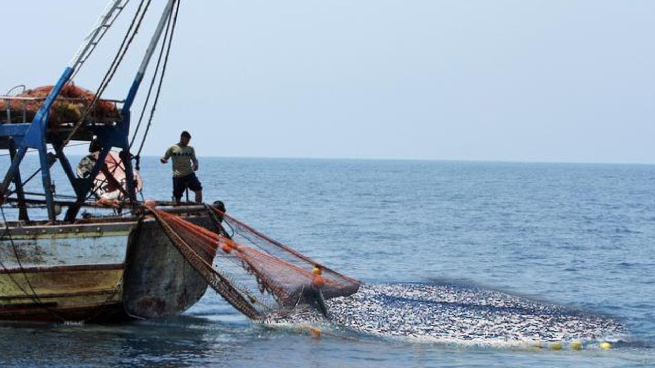 Andhra Pradesh: చేపల కోసం వల విసిరితే.. జాలర్లకు ఊహించని షాక్.. ఎదురుగా కళ్లు చెదిరే సీన్!