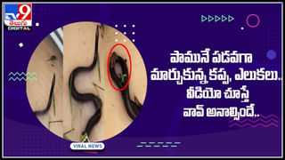 viral Video: ఇంటి అద్దె కట్టలేక ఆఫీసులోనే మకాం పెట్టేసాడు.. తర్వాత ఏమైందంటే..?