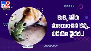 Viral Video: గడ్డకట్టే మంచులో పుష్‌అప్స్‌ !! వీడియో