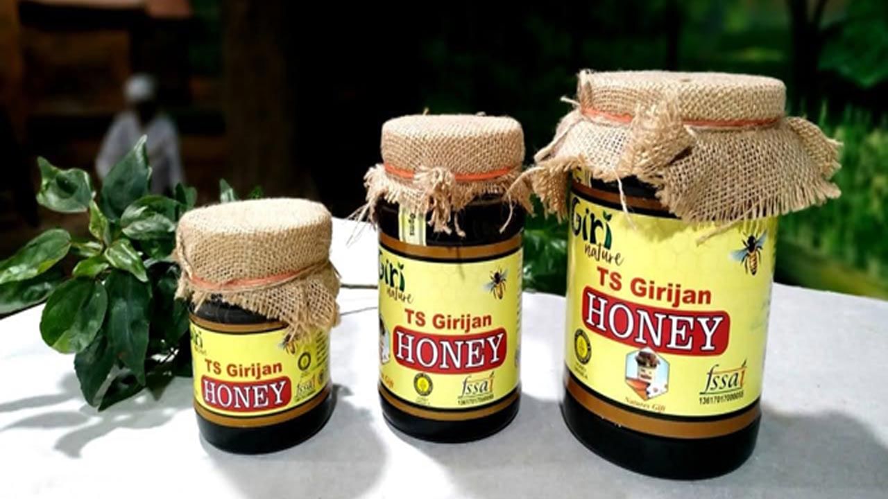 Giri Nature Honey: తొలి సహజ తేనె సేకరణ యూనిట్‌.. స్వచ్చతకు మారుపేరు గిరి హనీ.. వావ్ టేస్ట్ గురూ