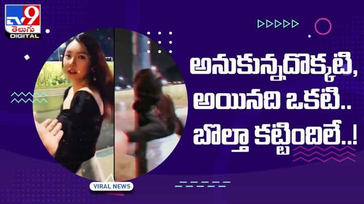 Viral Video: అనుకున్నదొక్కటి, అయినది ఒకటి.. బొల్తా కట్టిందిలే !! వీడియో Viral Video: అనుకున్నదొక్కటి, అయినది ఒకటి.. బొల్తా కట్టిందిలే !! వీడియో