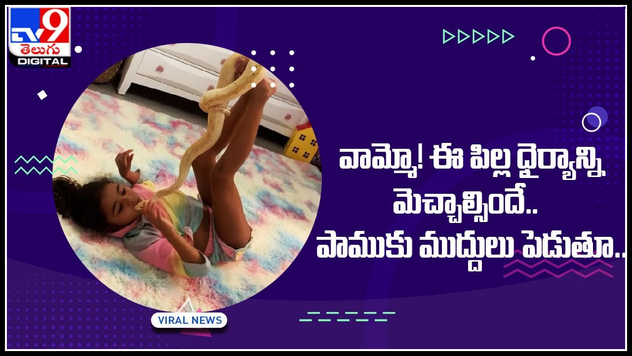 viral Video: వామ్మో! ఈ పిల్ల ధైర్యాన్ని మెచ్చాల్సిందే.. పాముకు ముద్దులు పెడుతూ.. షాక్ అవుతున్న నెటిజన్లు.. viral Video: వామ్మో! ఈ పిల్ల ధైర్యాన్ని మెచ్చాల్సిందే.. పాముకు ముద్దులు పెడుతూ.. షాక్ అవుతున్న నెటిజన్లు..