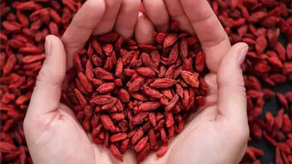Goji Berries: వీటి గురించి మీకు తెలుసా... రోజుకో అర గుప్పెడు తింటే ఎంతో ఆరోగ్యం
