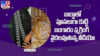 Viral Video: పాముతోనే ఆటలాడాలనుకున్నాడు.. దాని రియాక్షన్‏కు దిమ్మ తిరిగిపోయింది.. షాకింగ్ వీడియో..