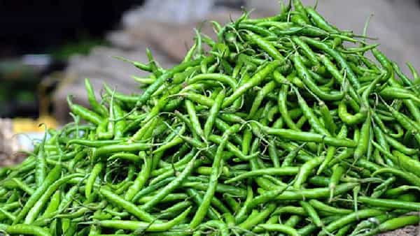 Green chilli price: ఎండు మిర్చి మాత్రమే కాదు.. పచ్చి మిర్చి కూడా దుమ్ములేపుతుంది.. కేజీ ఎంతో తెలుసా..?