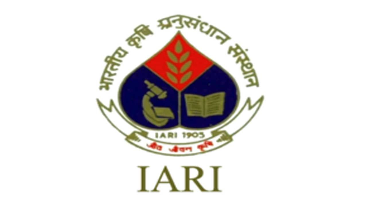 ICAR IARI Jobs: ఇండియన్‌ అగ్రికల్చరల్ రీసెర్చ్ ఇన్‌స్టిట్యూట్‌లో రీసెర్చ్‌ స్టాఫ్‌ ఉద్యోగాలు.. పూర్తి వివరాలు..