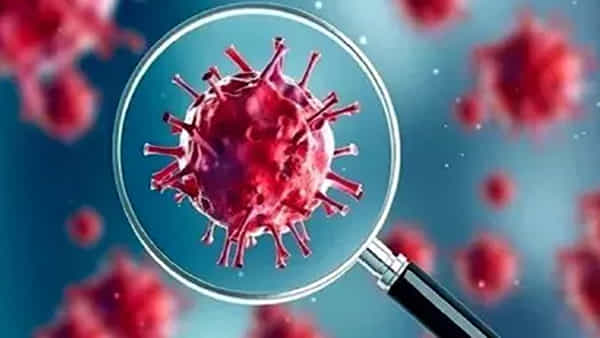 India corona cases: ఊరట కలిగిస్తోన్న కొత్త కేసులు.. ఆందోళనకరంగా కరోనా మరణాలు