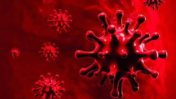 India Corona Cases: దేశంలో మళ్లీ పంజా విసురుతోన్న కరోనా.. భారీగా పెరిగిన కేసులు.. లేటెస్ట్ అప్డేట్స్