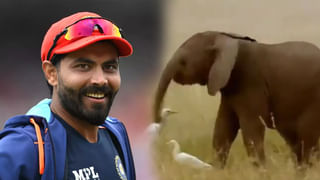 Viral Video: పెళ్లి పీఠలపైనే బోరుమన్న నవదంపతులు.. ఎందుకలా చేశారో తెలిస్తే అవాక్కవుతారు..!