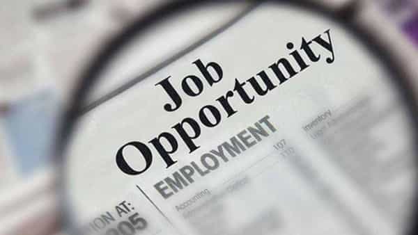 Central Jobs: ప్రభుత్వ ఉద్యోగాల కోసం నిరీక్షిస్తున్నారా.. అయితే మీ కోసమే ఈ వార్త..