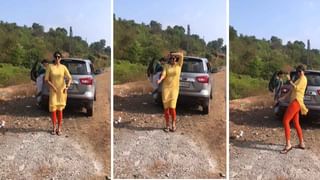 Viral Video: ఈ ఆవు యమ స్మార్ట్ గురూ..! ఏకంగా అడ్రసే చెప్పేసింది.. వీడియో చూస్తే నోరెళ్లబెట్టాల్సిందే..