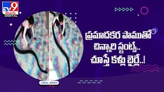 Viral Video: ఏనుగు ఐపీఎల్‌ ఆడితే ఎలా ఉంటుందో.. చూస్తారా..!