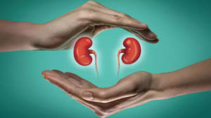 Kidneys Health Tips: కిడ్నీలను ఆరోగ్యంగా ఉంచుకునేందుకు సులభమైన మార్గాలు