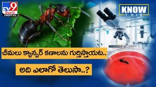 Digital TOP 9 NEWS: ఆ ఆలయంలో మద్యమే ప్రసాదం | RRR వసూళ్లపై ఐపీఎల్‌ ప్రభావం.. వీడియో