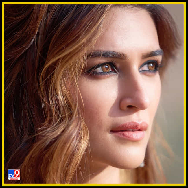 Kriti Sanon New Photos. Credit by:Kriti Sanon/Twitter