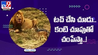 కబోర్డ్‏లో బర్గర్ పెట్టి మర్చిపోయింది !! ఐదేళ్ల తర్వాత ఓపెన్ చేసి చూసి షాక్‌ !!  వీడియో