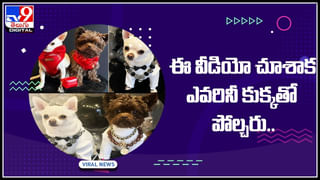 Viral Video: హేళన చేశారని.. కొడుకు పెళ్లికి హెలికాఫ్టరే కొనేశాడు ఓ తండ్రి.. ఆశ్చర్యంలో గ్రామస్తులు.. వీడియో నెట్టింట వైరల్‌