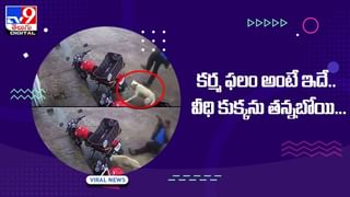 Viral Video: నువ్వు సూపర్‌ బామ్మ !! 62 ఏళ్ల వయసులో చీరకట్టుతో పర్వతారోహణ !! వీడియో